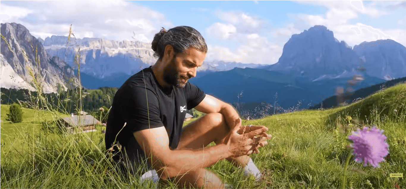 如何通过Zen Business实现每日收入$36,657